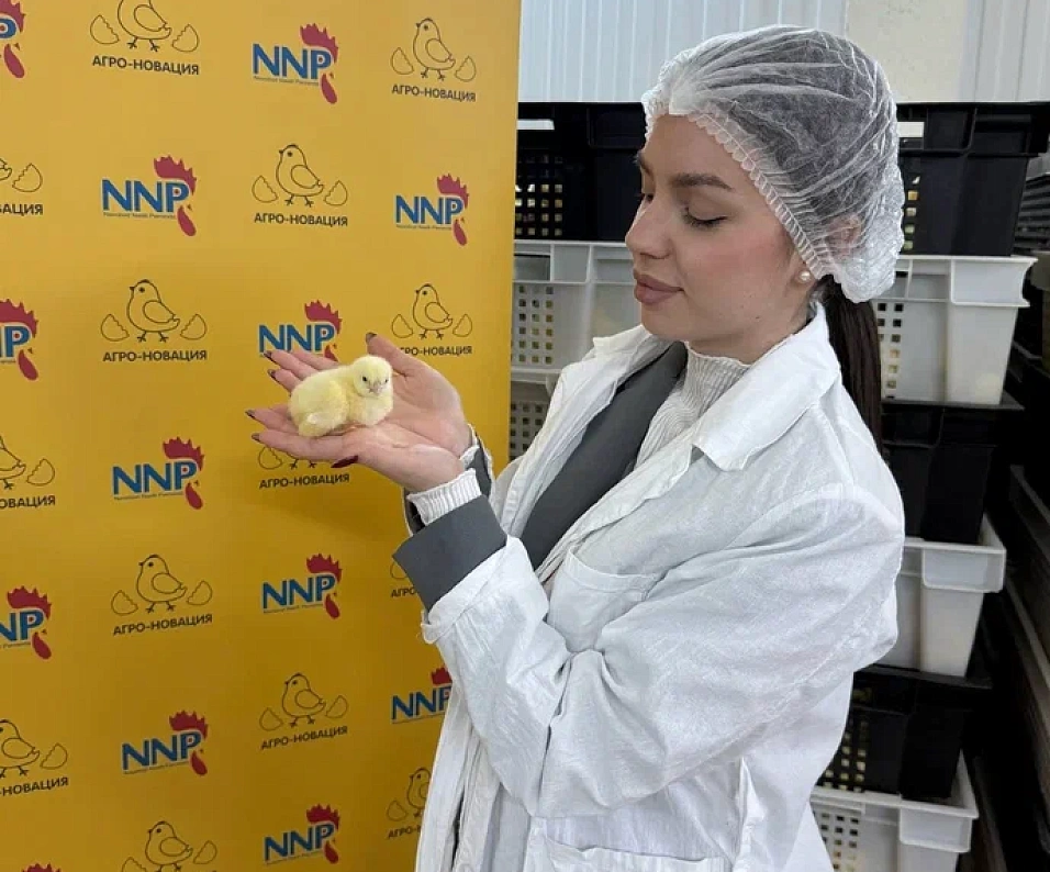 Медиа