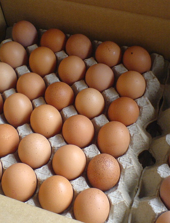 Предложение на поставку инкубационного яйца бройлера в августе