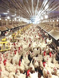 Светодиодная система освещения