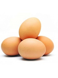 Столовое яйцо коричневое с1 ( medium)