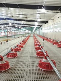 Система кормления