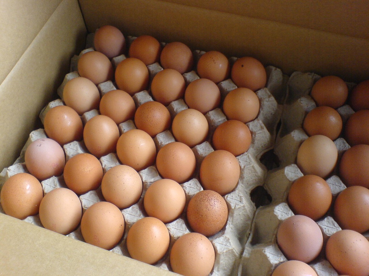 Предложение на поставку инкубационного яйца бройлера в августе